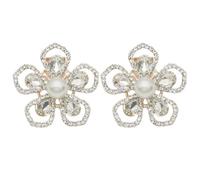 Alipis Clip per Scarpe Gioiello 2 Pezzi in Lega di Alluminio e Vetro, Elegante e Facile da Indossare, Accessori Creativi per Scarpe da Sposa per Feste e Balli