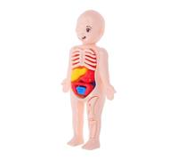 Alipis Giochi Di Anatomia Per Bambini Modello Del Corpo Umano Con Strumenti Educativi Degli Organi Staccabili Per L'apprendimento Precoce Per L'educazione Domestica E La Scienza Della