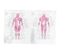 Alipis Poster Anatomia Decorazione Scheletro per Insegnamento e Feste Poster Didattico per Casa Chiara e Accattivantper Decorazione Muralper Iniziare Struttura
