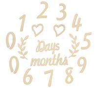 Alipis Set Carte Milestone in Legno per Ragazzo Ragazza, Numeri e Parole Giorni Mesi Anni per Foto di Crescita, Accessori Fotografici Primo Compleanno e Sviluppo Motricità Fine
