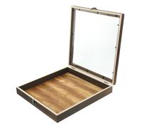 Alipis Vetrina per Esemplari in Legno con Coperchio Trasparente Scatola per Campioni di Farfalle e Reperti Contenitore Espositivo Retro con Serratura per Conservazione di Gioielli e Ogget