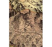 Aliprandi,Laura. - Les Grandes Alpes dans la Cartographie 1482-1885. Vol.II: La