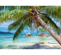 Alipson Puzzle - Puzzle Spiaggia Tropicale - 1000 Pezzi