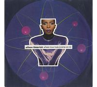 Alison Limerick - Where Love Lives (Come On In) - Alison Limerick 7" 45