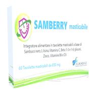 Samberry Masticabile 60 Tavolette 51 g Compresse masticabili