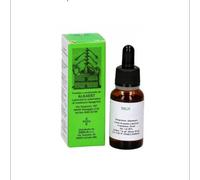 Alkaest MGS16 RIBES MACERATO GLICERICO SPG 20 ML