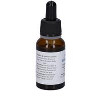 Alkaest MGS17 ROSMARINO MACERATO GLICERICO SPG 20 ML