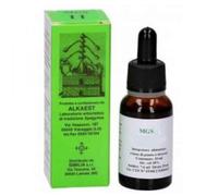 Alkaest MGS9 IPPOCASTANO MACERATO GLICERICO SPG 20 ML