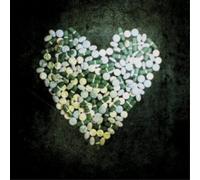 Alkaline Trio This Addiction (CD) Special Album with DVD