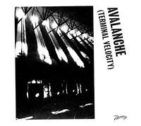 Alkan, Erol & Boys Noize - Avalanche (Terminal Velocity)