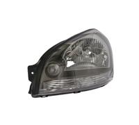 Fanali DEPO 221-1134L-LDEM2, sinistro