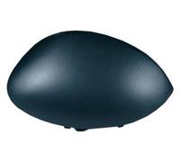 Alloggiamento, specchietto retrovisore esterno BLIC 6103-01-1323283P sinistro