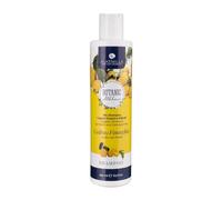 Shampoo Bio Cedro e Finocchio - Alkemilla