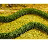 all - 2 Siepi Ornamentali - Carpini