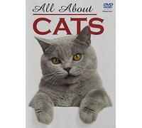 All About Cats [Edizione: Regno Unito]