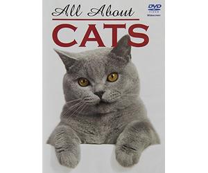 All About Cats [Edizione: Regno Unito]
