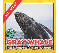 All about Gray Whale | Facts, Photos and Illustrations: A Picture Book for Curious Children | Screen-Free Infotainment
