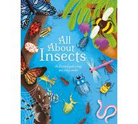 All About Insects: An illustrated guide to bugs and creepy-crawlies