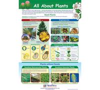All About Plants Poster - Laminated Full-Color 23"""" x 35""""