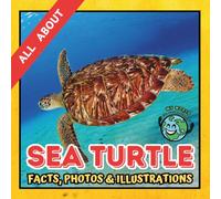 All about Sea Turtle | Facts, Photos and Illustrations: A Picture Book for Curious Children | Screen-Free Infotainment