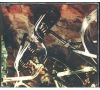 All American Recjects - Swing [Import]