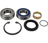 All Balls Kit Cuscinetti E Paraolio Differenziale 14-1005 Polaris