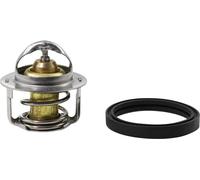 ALL BALLS 16-3001 TERMOSTATO DI RICAMBIO - POLARIS ACE 500 4X4 2018