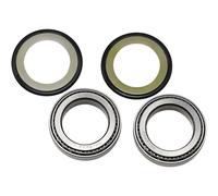 22-1031 CUSCINETTI/GUARNIZIONI CANNOTTO KAWASAKI EN 650 ABS VULCAN S 2019