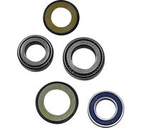 ALL BALLS 22-1060 BEARING STEERING STEM VIC INDIAN CHIEF 116 ABS DARK HORSE 2022