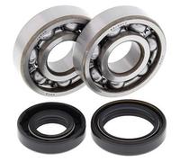 ALL BALLS 24-1008 KIT CUSCINETTI ALBERO MOTORE KAWASAKI KX125 2005