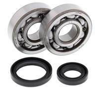 ALL BALLS 24-1014 KIT CUSCINETTI ALBERO MOTORE SUZUKI RM85 2018
