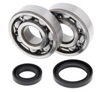 ALL BALLS 24-1016 KIT CUSCINETTI ALBERO MOTORE SUZUKI RM125 2000