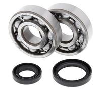 24-1016 ALL BALLS KIT CUSCINETTI ALBERO MOTORE SUZUKI RM 125 1992