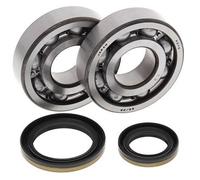 24-1021 ALL BALLS KIT CUSCINETTI ALBERO MOTORE SUZUKI RM 250 1998