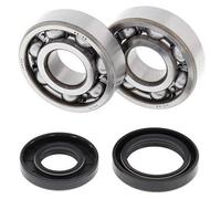 ALL BALLS 24-1025 KIT CUSCINETTI ALBERO MOTORE YAMAHA YZ125 2003