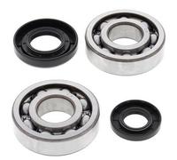 ALL BALLS 24-1029 KIT CUSCINETTI ALBERO MOTORE YAMAHA YZ250 2003