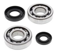 24-1029 ALL BALLS KIT CUSCINETTI ALBERO MOTORE YAMAHA YZ 250 2017