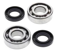 ALL BALLS 24-1035 KIT CUSCINETTI ALBERO MOTORE SUZUKI LT-80 2003