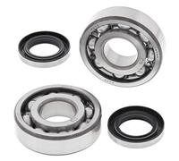 ALL BALLS 24-1044 KIT CUSCINETTI ALBERO MOTORE KAWASAKI KDX200 1983