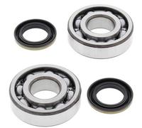 24-1045 ALL BALLS KIT CUSCINETTI ALBERO MOTORE KAWASAKI KDX 220 1997-2005