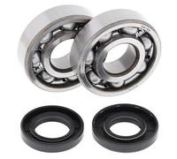 ALL BALLS 24-1062 KIT CUSCINETTI ALBERO MOTORE YAMAHA YZ125 2018