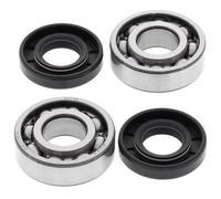 ALL BALLS 24-1100 KIT CUSCINETTI ALBERO MOTORE COBRA KING 50 2006