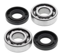ALL BALLS 24-1100 KIT CUSCINETTI ALBERO MOTORE KTM SX PRO JR 50 1998