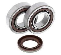 ALL BALLS 24-1106 KIT CUSCINETTI ALBERO MOTORE KTM EXC-G 250 RACING 2004