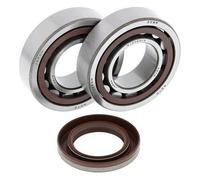 24-1106 ALL BALLS KIT CUSCINETTI ALBERO MOTORE KTM 450 SMR 2006