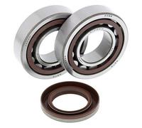 ALL BALLS 24-1106 KIT CUSCINETTI ALBERO MOTORE KTM SX 525 2004