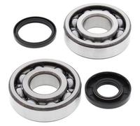 ALL BALLS 24-1107 KIT CUSCINETTI ALBERO MOTORE HUSQVARNA WR300 2009