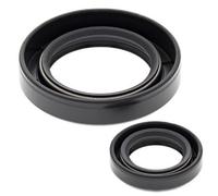 ALL BALLS 24-2010 KIT PARAOLI ALBERO MOTORE HONDA CR500R 2001