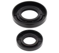 24-2017 ALL BALLS KIT PARAOLI ALBERO MOTORE YAMAHA YZ 250X 2017