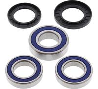 25-1039 ALL BALLS KIT CUSCINETTI RUOTA POSTERIORE SUZUKI TL 1000R 1998-2003